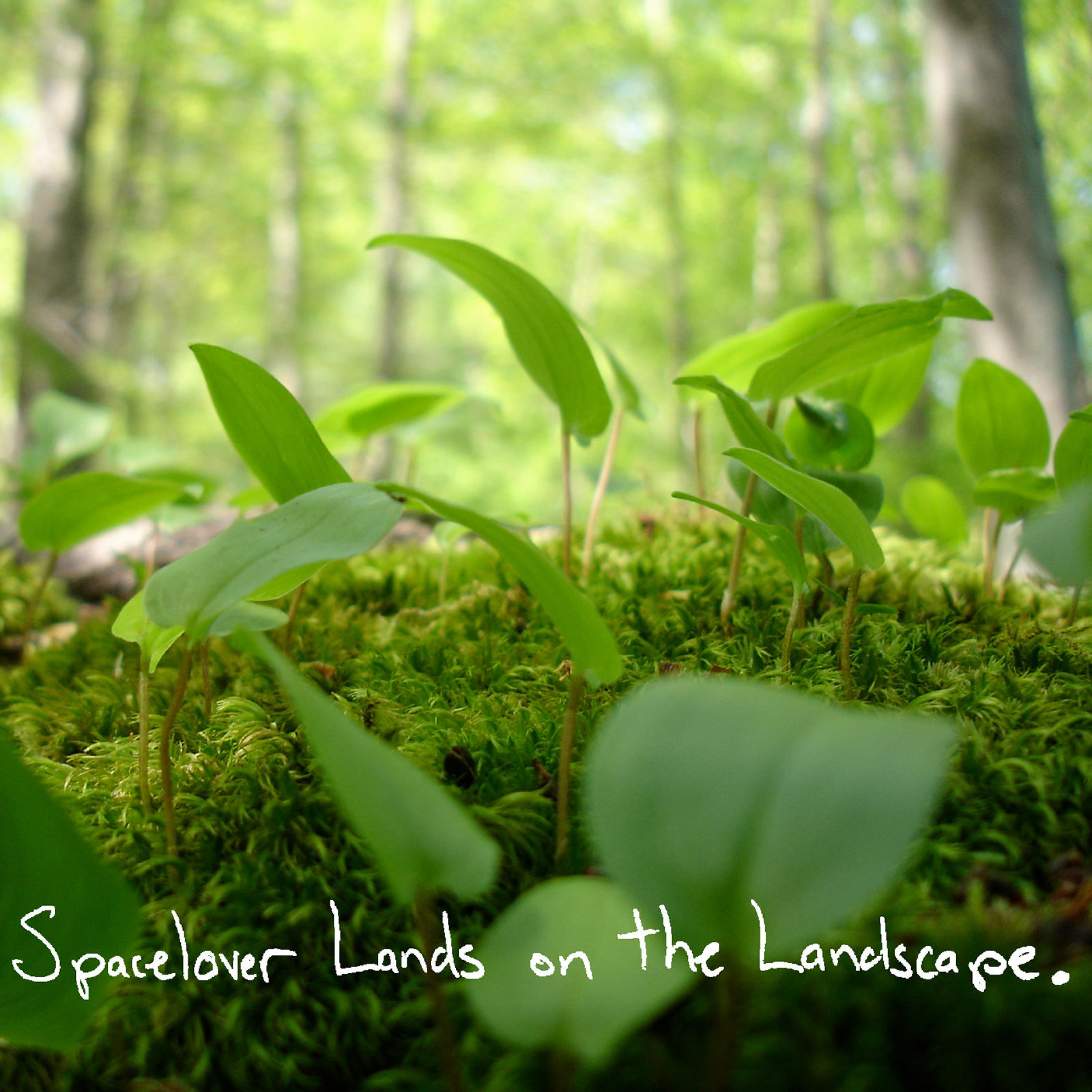 Lands on the Landscape