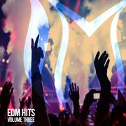 EDM Hits, Vol. 3