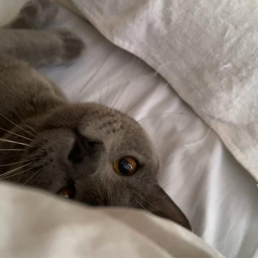 Leave me alone