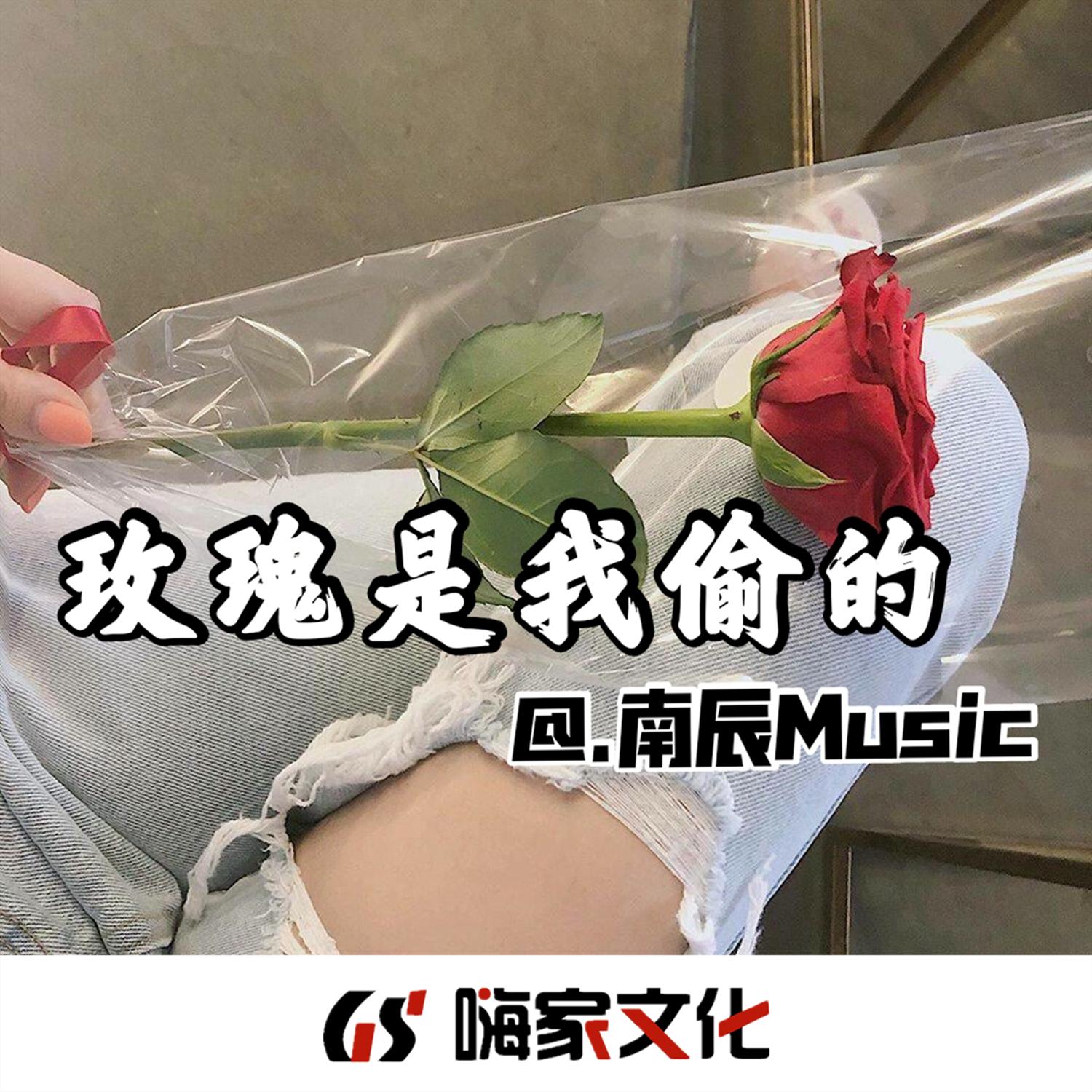 玫瑰是我偷的