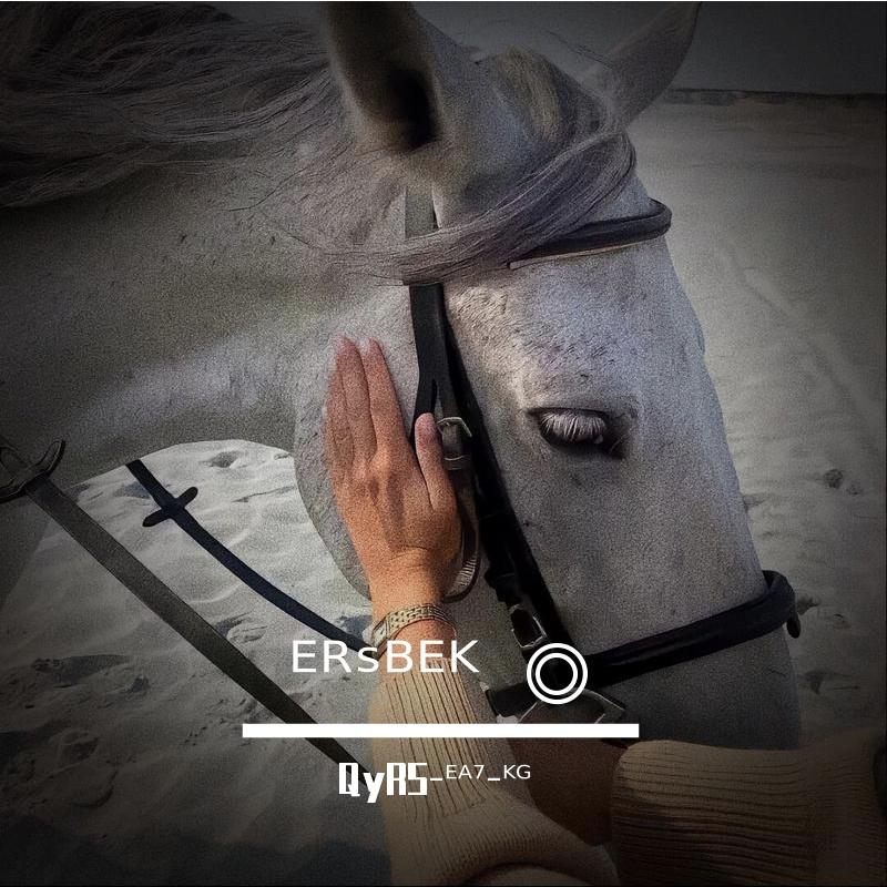 ERSBEK歌曲封面
