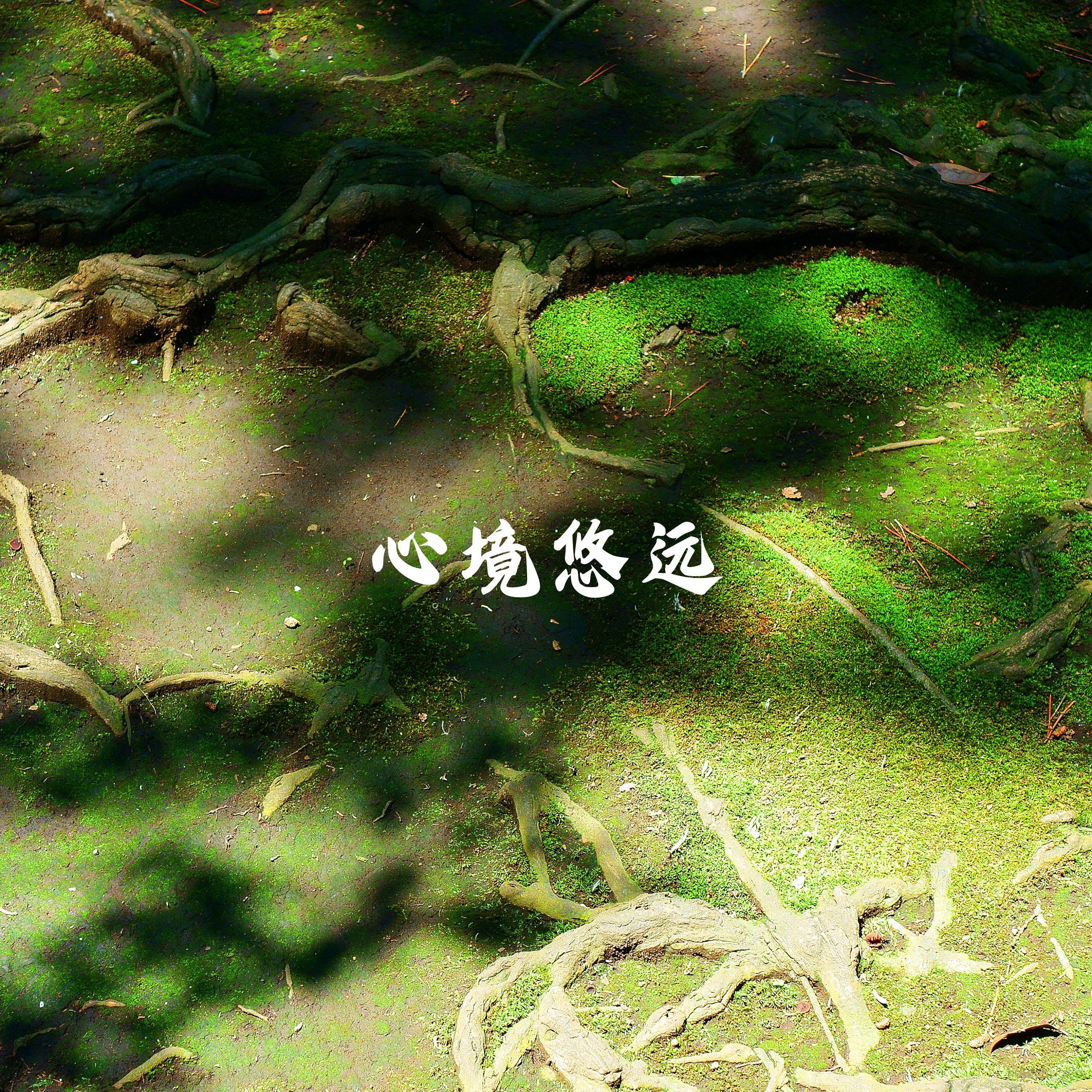 禅修音乐盒 - 幽深禅意 (（瑜伽）)