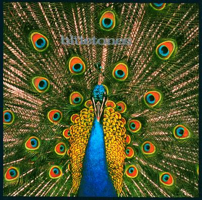 Expecting To Fly (Expanded Edition)