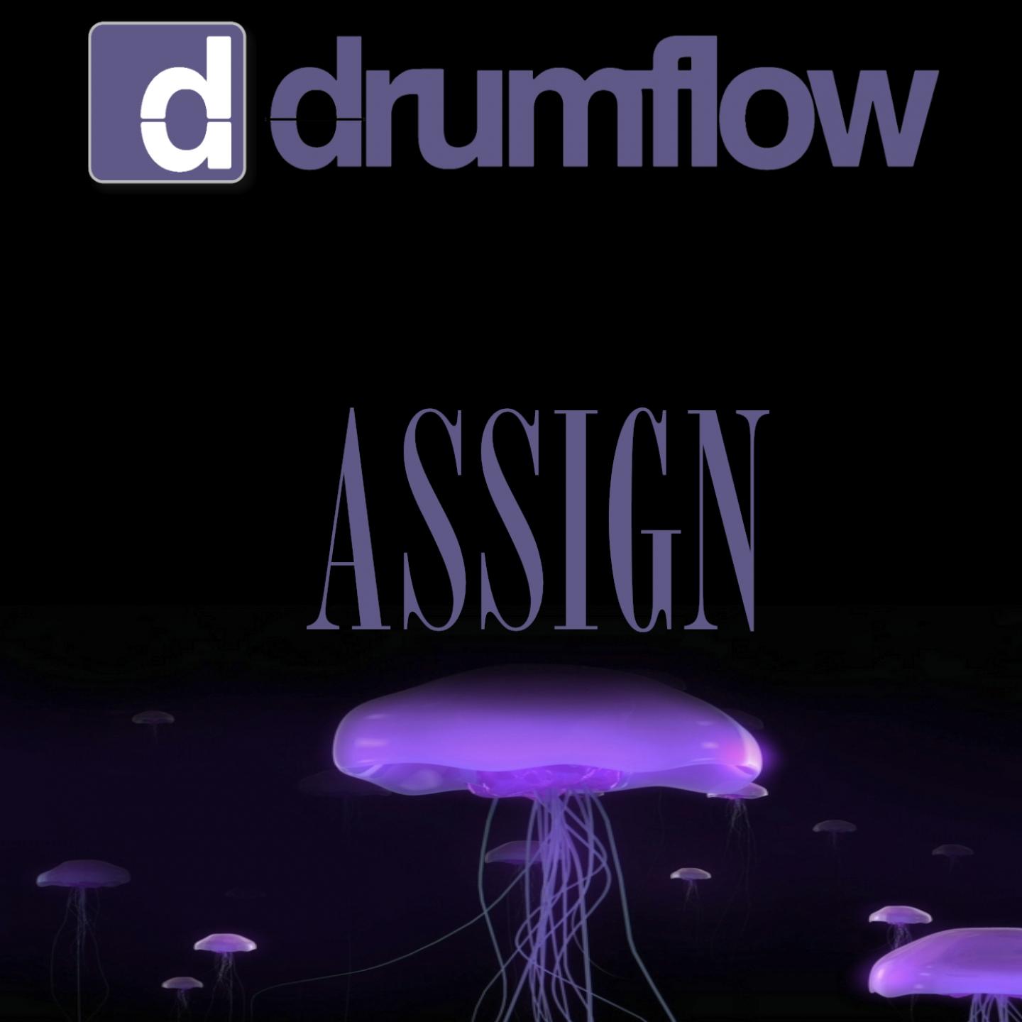 Assign