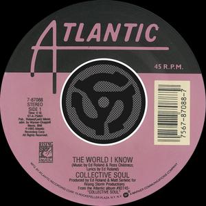 The World I Know (Karaoke) （原版立体声） （降1半音）