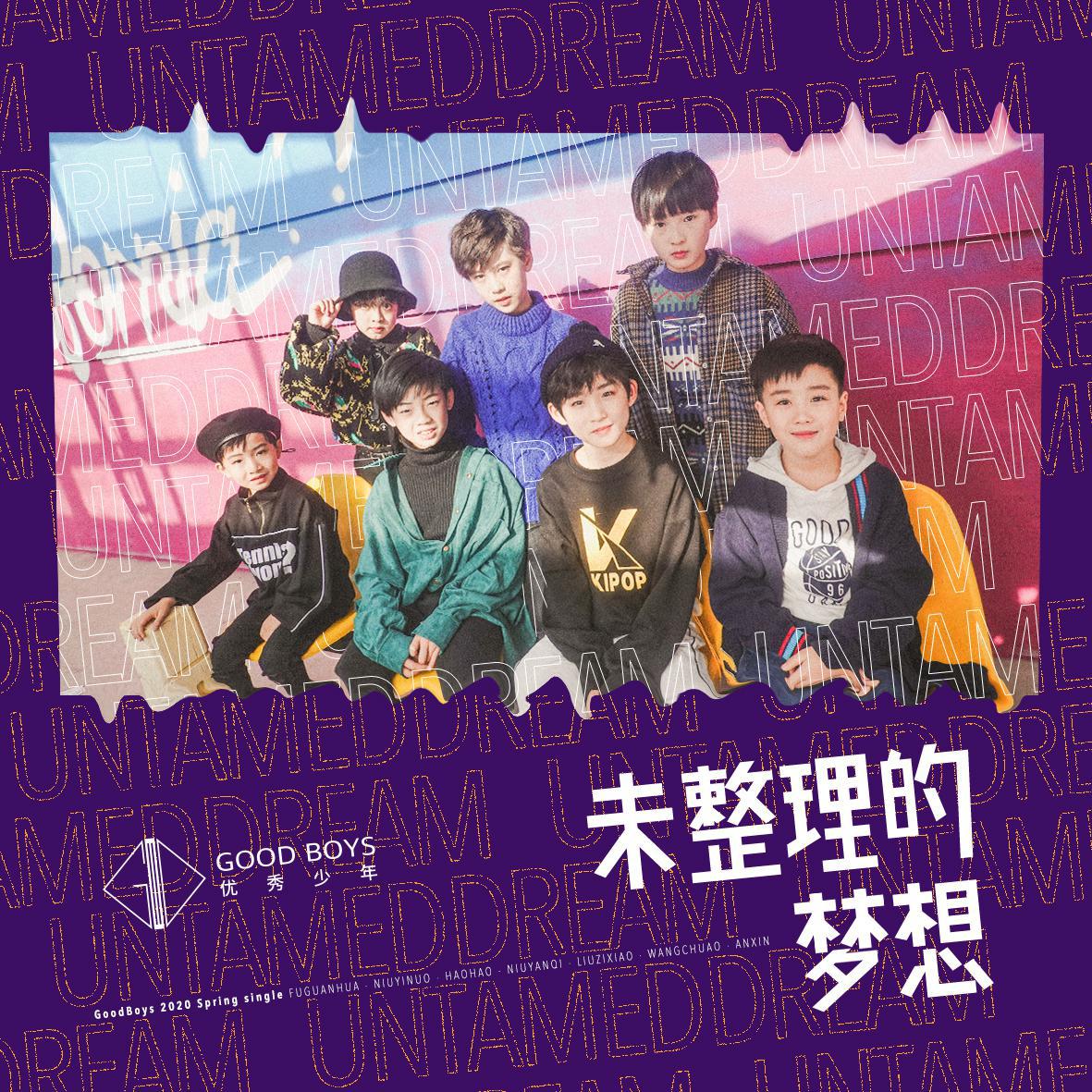 未整理的梦想