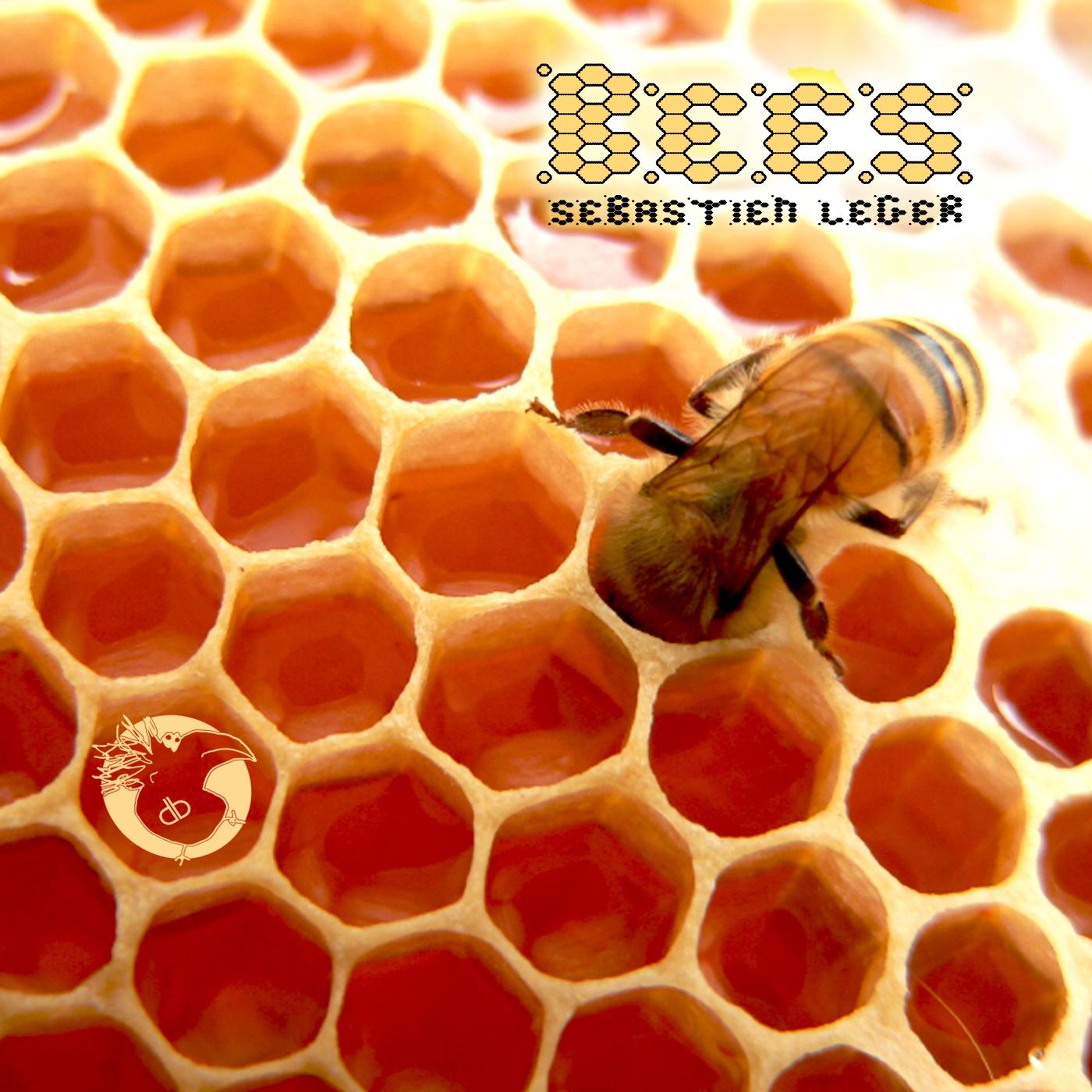 Bees