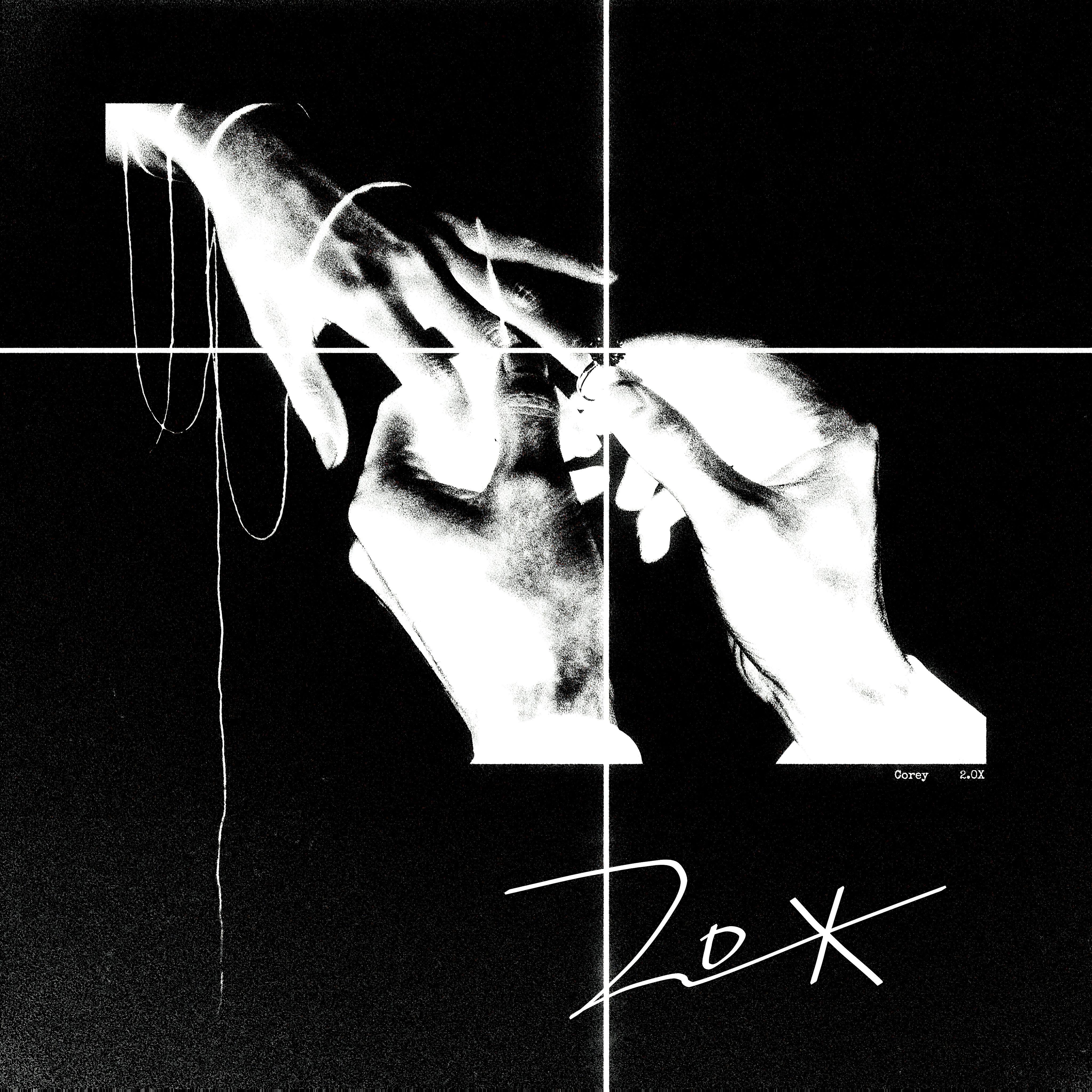 山茶花Camellia Pt.2