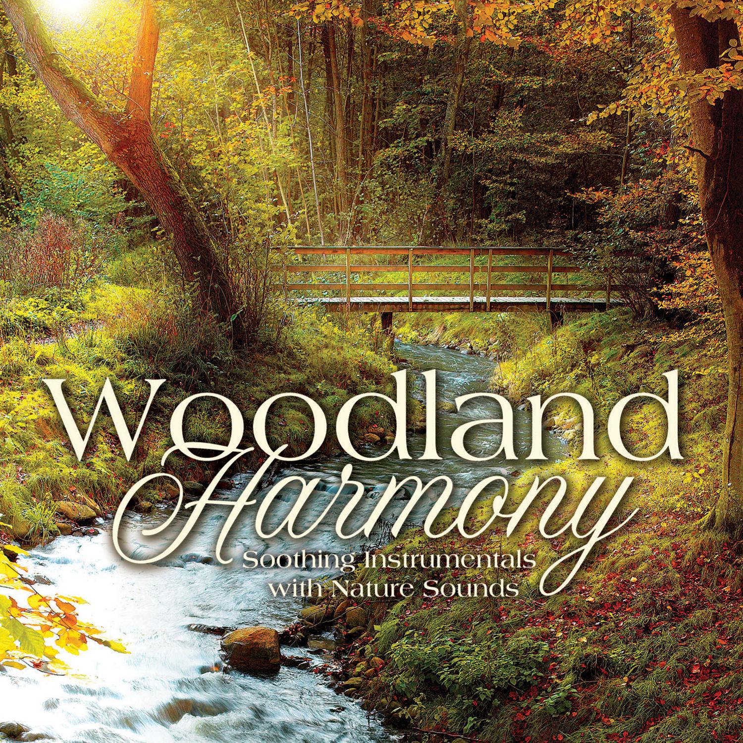 Woodland Harmony专辑