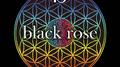 black rose专辑