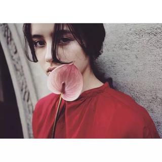 万物皆可腐