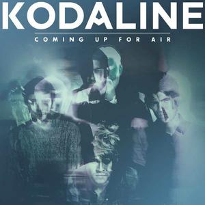 Kodaline - The One (Z karaoke) 无和声伴奏 （升5半音）