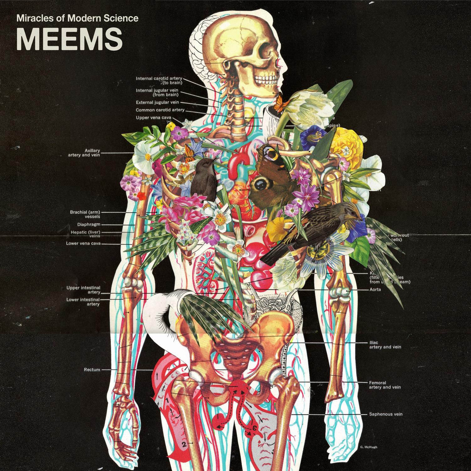 Meems