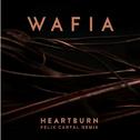 Heartburn (Felix Cartal Remix)