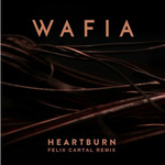Heartburn (Felix Cartal Remix)专辑