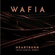 Heartburn (Felix Cartal Remix)