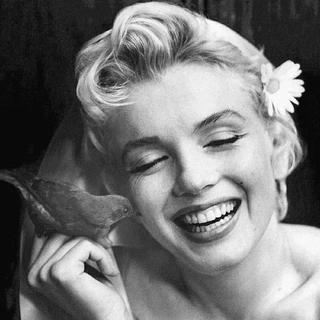 欧美欢快口哨style|希望今天的你是开心的