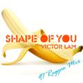 Shape of You (97' Reggae Mix)