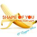 Shape of You (97' Reggae Mix)专辑