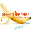 Shape of You (97' Reggae Mix)专辑