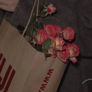 遇见你的那天，樱花开满南山。