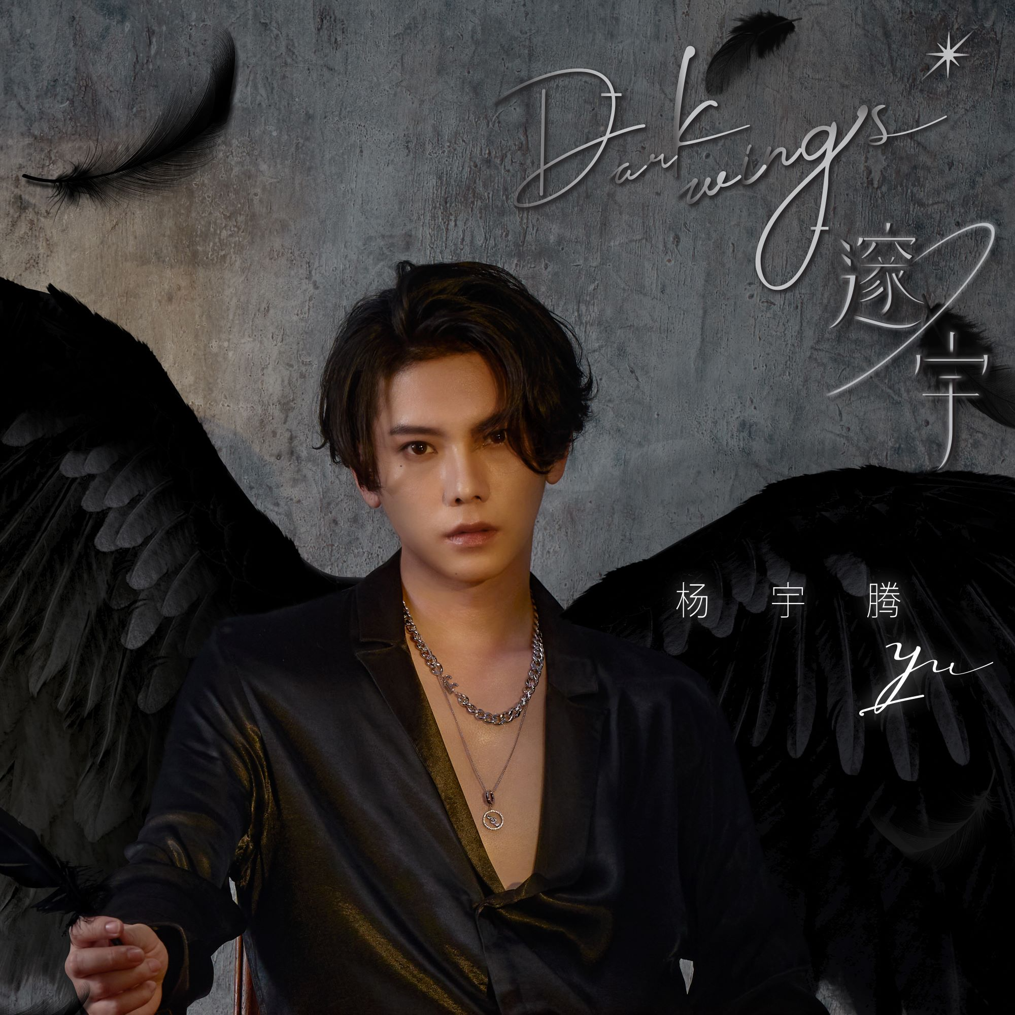 邃宇 dark wings 歌手:杨宇腾yu 发行时间:2021-08-31 发行公司: 觉得