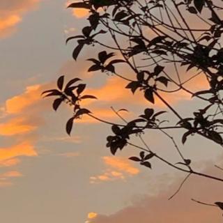 治愈失眠：为你揽下整个星河入眠