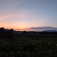 某日我也会走入昏茫夜色