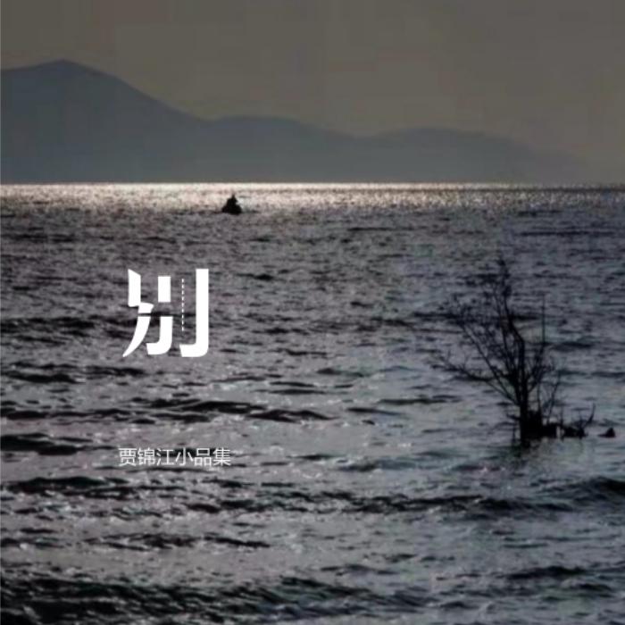 别（尤克里里独奏）