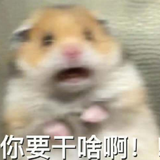 关于我帮朋友上传bgm到网易云又不跟我说起啥名这档事