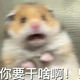 关于我帮朋友上传bgm到网易云又不跟我说起啥名这档事