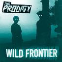 Wild Frontier (KillSonik Remix)专辑