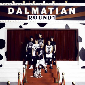 Dalmatian - Round （升1半音）