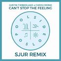 Can't Stop The Feeling (SJUR Remix)专辑