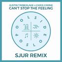 Can't Stop The Feeling (SJUR Remix)专辑