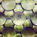 Outcrop Of The Mind专辑