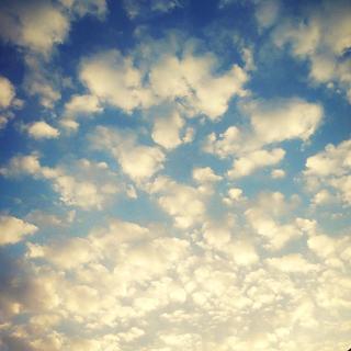 后摇｜一剂强心针