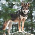 Wolf's Night Lament