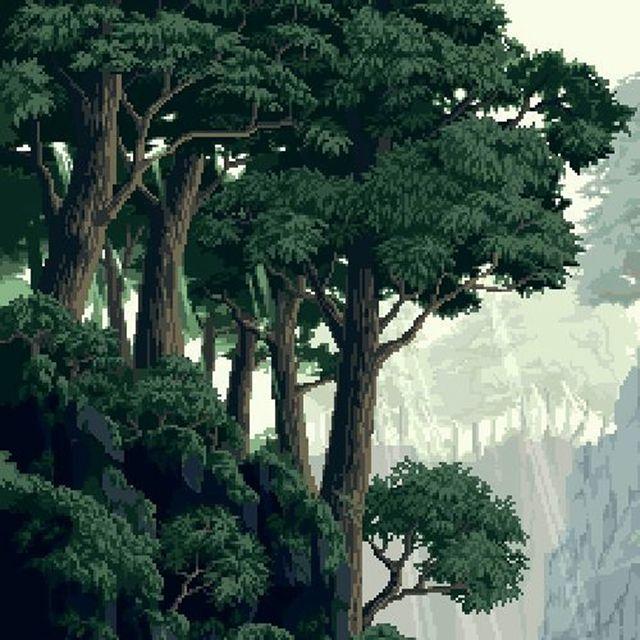 Ancient Tree