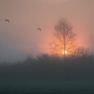 人生很苦，我们来苦中作乐。