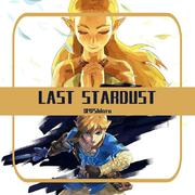 LAST STARDUST