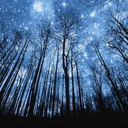 Beyond the Stars