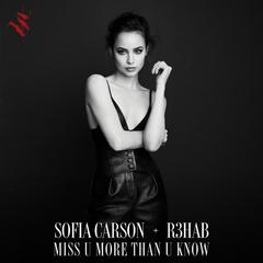 Sofia Carson,R3HAB《Miss U More Than U Know吉他谱》F调_完美编曲设计