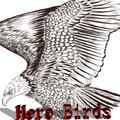 HERO BIRDS