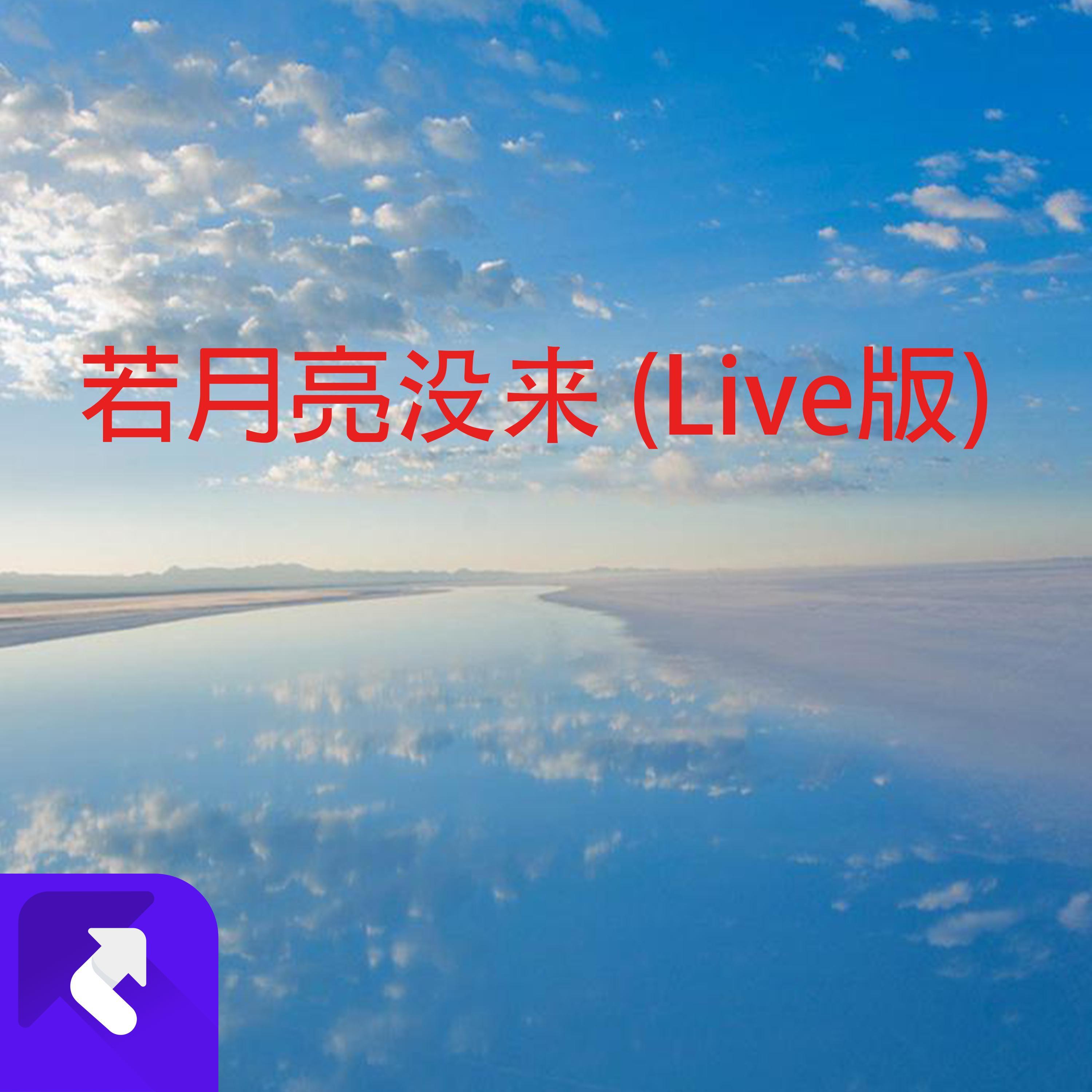 若月亮没来 (Live版)