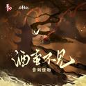 酒壶不见专辑