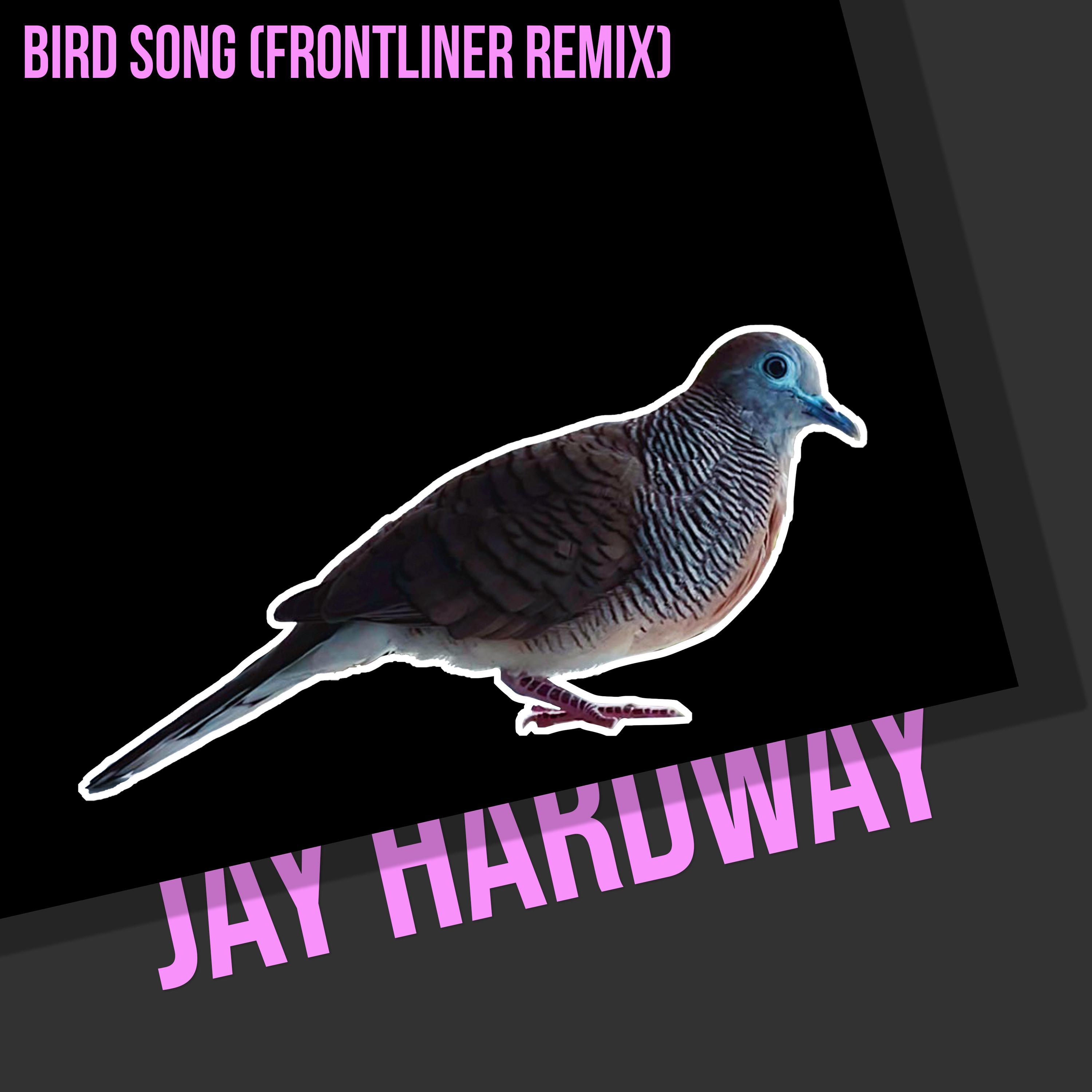 Jay Hardway - Bird Song (Frontliner Remix) (Frontliner Remix)