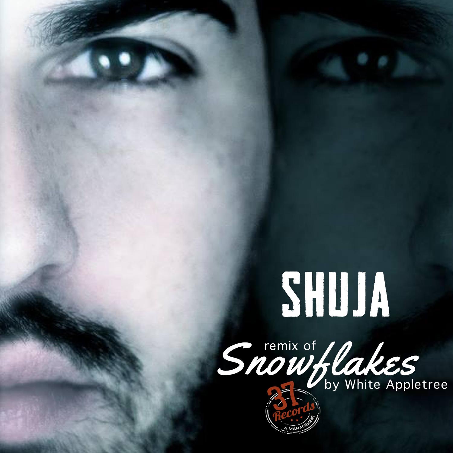 Snowflakes Remix by Shuja