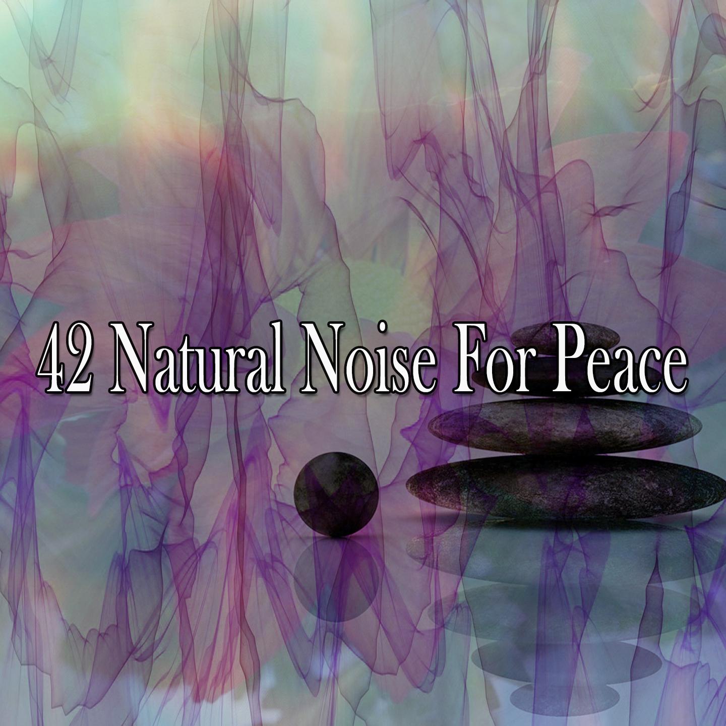 42 Natural Noise For Peace专辑