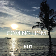 Skylar Grey-Coming Home（HEST remix）